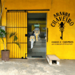 Imagem ilustrativa da empresa Chaveiro Aranha em Porto Velho - RO
