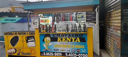 Chaveiro kenya em São Bernardo do Campo - SP